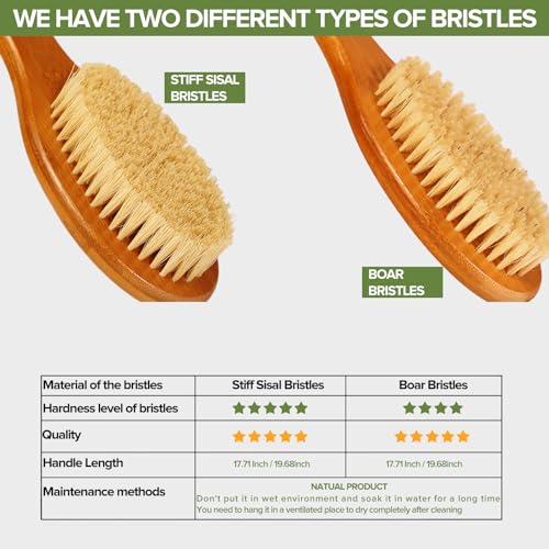 ICANdOIT-19.68Inch Natural Boar Bristles Anti-Slip Extra Long Handle Bath Brush,Bent Handle Shower Scrubber for Exfoliating,Shower Back Brush,Exfoliation Set with Pumice Stone (1 Pack)